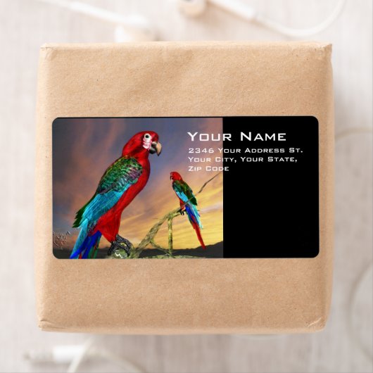 HYPER PARROS / BLAUE ARA (Insitu)