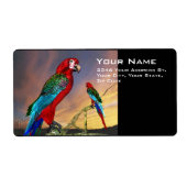 HYPER PARROS / BLAUE ARA (Vorne)