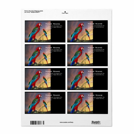 HYPER PARROS / BLAUE ARA (Vorne)