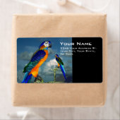 HYPER PARROS / BLAUE ARA (Insitu)