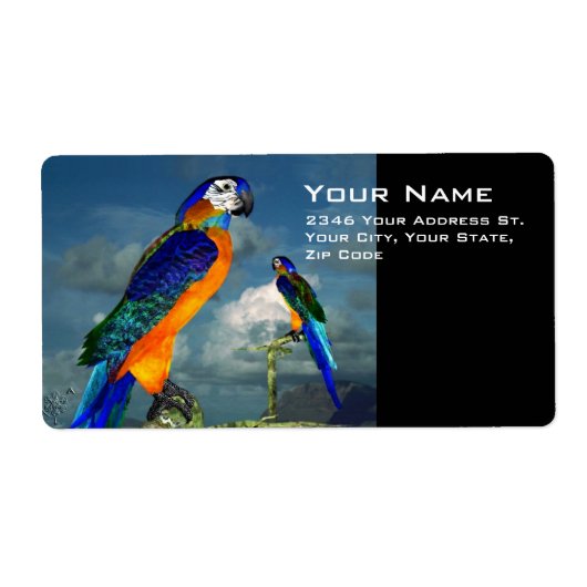 HYPER PARROS / BLAUE ARA (Vorne)