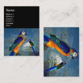 HYPER PARROS / BLAUE ARA VISITENKARTE (Vorne/Hinten)