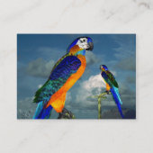 HYPER PARROS / BLAUE ARA VISITENKARTE (Rückseite)