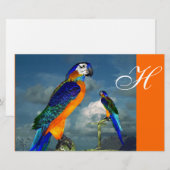 HYPER PARROS / BLUE ARA MONOGRAM, Orange Briefpapier (Vorne/Hinten)