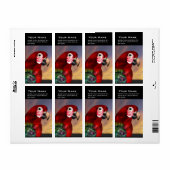 HYPER PARROS / RED ARA (Vorne)