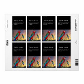 HYPER PARROS / RED ARA (Vorne)