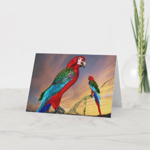 HYPER PARROS / RED ARA KARTE