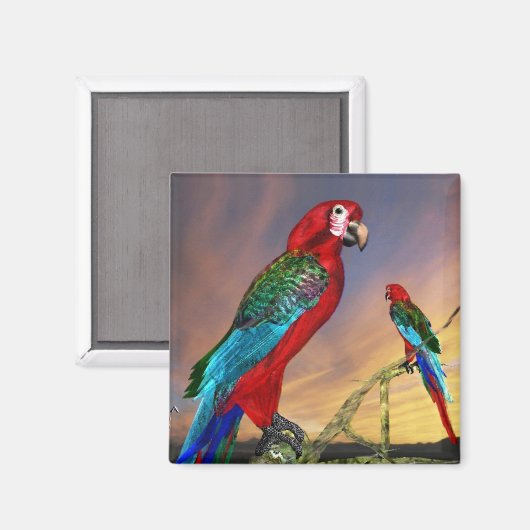 HYPER PARROS / RED ARA MAGNET (Vorderseite/Rückseite)