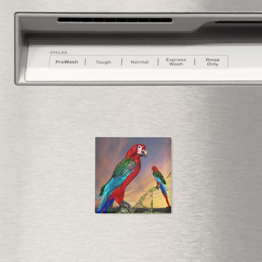 HYPER PARROS / RED ARA MAGNET (In Situ (Geschirrspüler))