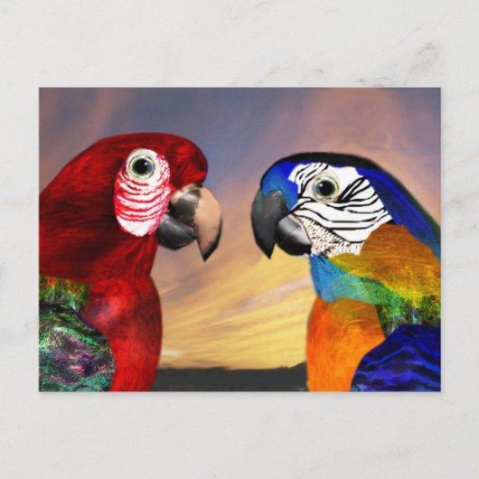 HYPER PARROS / ROTE UND BLAUE ARA POSTKARTE (Vorderseite)