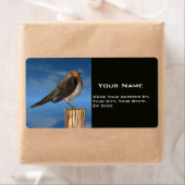 HYPER VRREN / ROBIN ROT BREAST (Insitu)