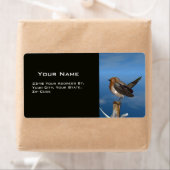 HYPER VRREN / ROBIN ROT BREAST (Insitu)