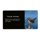 HYPER VRREN / ROBIN ROT BREAST (Vorne)