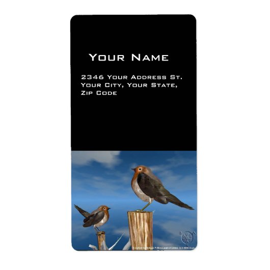 HYPER VRREN / ROBIN ROT BREAST (Vorne)