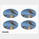 HYPER VRREN / ROBIN ROT BREAST OVALER AUFKLEBER (Blatt)