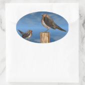 HYPER VRREN / ROBIN ROT BREAST OVALER AUFKLEBER (Tasche)