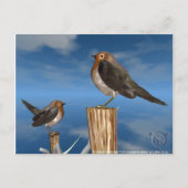 HYPER VRREN / ROBIN ROT BREAST POSTKARTE (Vorderseite)