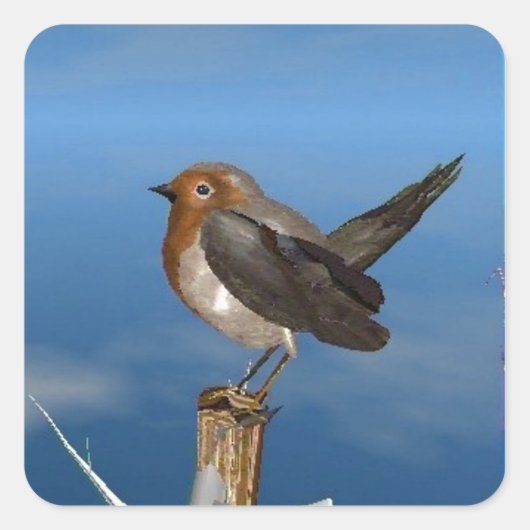 HYPER VRREN / ROBIN ROT BREAST QUADRATISCHER AUFKLEBER (Vorderseite)