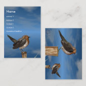 HYPER VRREN / ROBIN ROT BREAST VISITENKARTE (Vorne/Hinten)