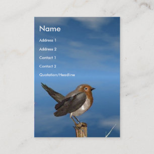 HYPER VRREN / ROBIN ROT BREAST VISITENKARTE