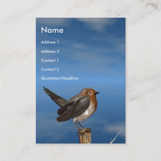 HYPER VRREN / ROBIN ROT BREAST VISITENKARTE (Vorderseite)