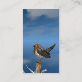 HYPER VRREN / ROBIN ROT BREAST VISITENKARTE (Rückseite)