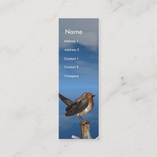 HYPER VRREN / ROBIN ROTES BRAST-MONOGRAM MINI VISITENKARTE (Vorderseite)