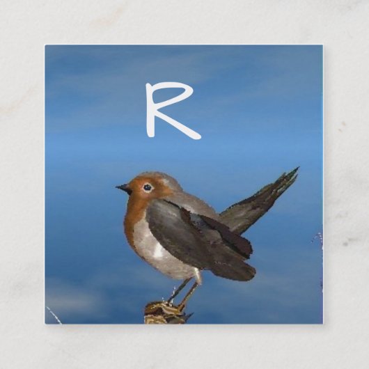 HYPER VRREN / ROBIN ROTES BRAST-MONOGRAM QUADRATISCHE VISITENKARTE (Rückseite)