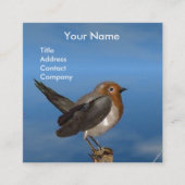 HYPER VRREN / ROBIN ROTES BRAST-MONOGRAM QUADRATISCHE VISITENKARTE (Vorderseite)