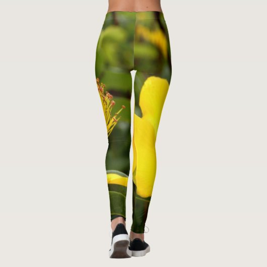Hypericum Calcyinum Leggings (Rückseite)