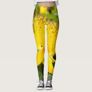 Hypericum Calcyinum Leggings