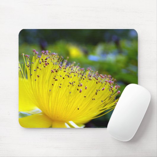 Hypericum Calcyinum Mouse Mat Mousepad (Mit Mouse)