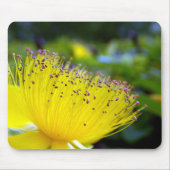 Hypericum Calcyinum Mouse Mat Mousepad (Vorne)