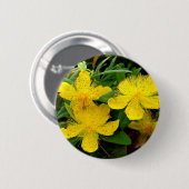 Hypericum calycinum Abzeichen Button (Vorne & Hinten)