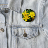 Hypericum calycinum Abzeichen Button (Beispiel)