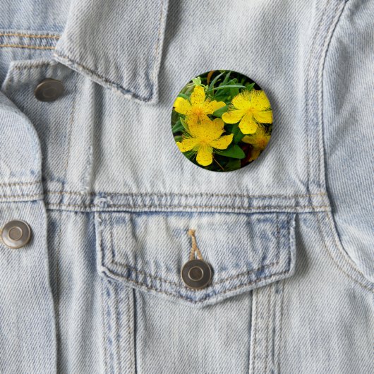 Hypericum calycinum Abzeichen Button (Beispiel)