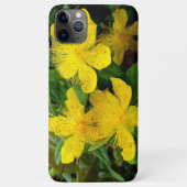 Hypericum calycinum Case-Mate iPhone hülle (Rückseite)