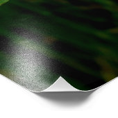 Hypericum calycinum fotodruck (Ecke)