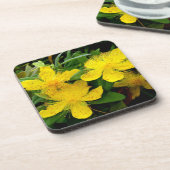 Hypericum calycinum getränkeuntersetzer (Linke Seite)