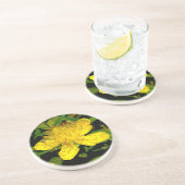 Hypericum calycinum getränkeuntersetzer (Seite)