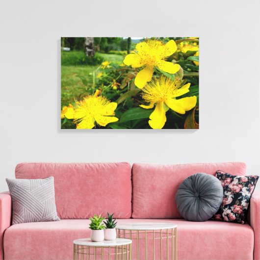 Hypericum calycinum leinwanddruck (Insitu (Wohnzimmer))