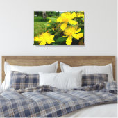 Hypericum calycinum leinwanddruck (Insitu (Schlafzimmer))