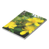 Hypericum calycinum notizblock (Rotiert)