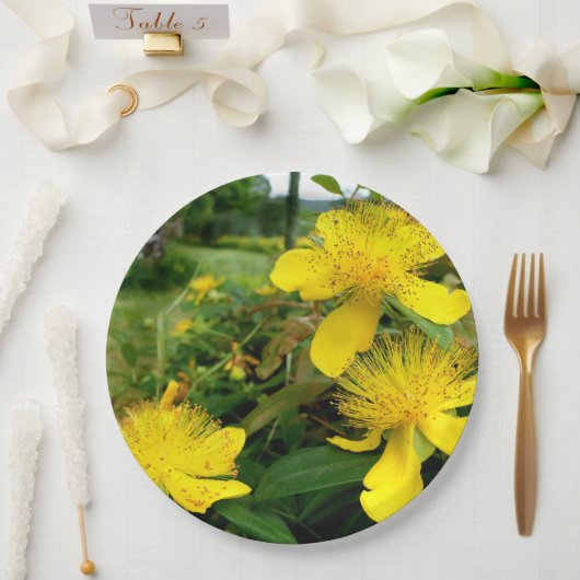 Hypericum calycinum Papierplatte Pappteller (Hochzeit)