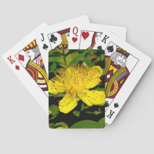 Hypericum calycinum spielkarten