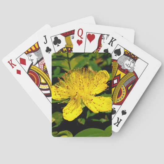 Hypericum calycinum spielkarten (Rückseite)