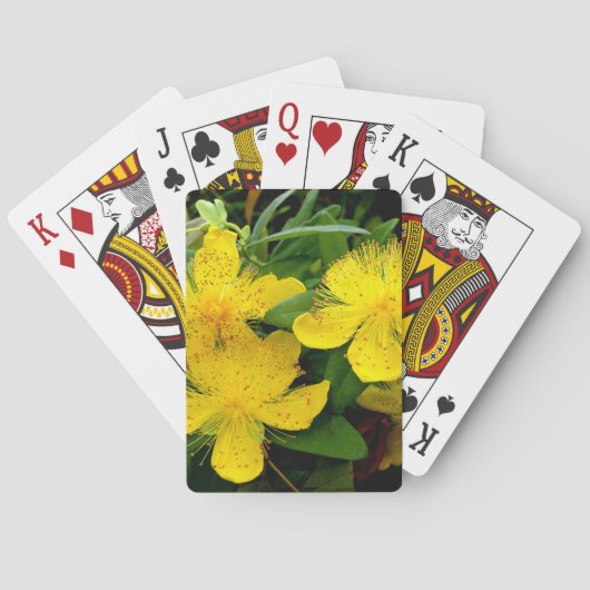 Hypericum calycinum spielkarten (Rückseite)