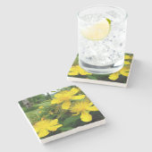 Hypericum calycinum steinuntersetzer (Seitenansicht)