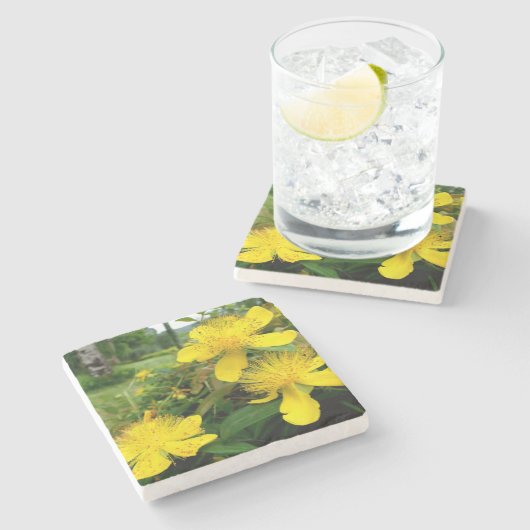 Hypericum calycinum steinuntersetzer (Seitenansicht)