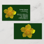 Hypericum Hidcote - Dunkelgrün Visitenkarte (Vorne/Hinten)